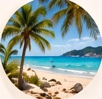 Palmiers et mer turquoise